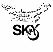 Load image into Gallery viewer, SKY T-Shirt
